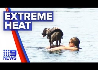  NSW Temperatures Soar Into Mid 40s Nine News Australia
