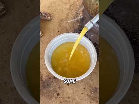 Ancient Traditional Oil Pressing Process Shorts Youtubeshorts Trivia Funny