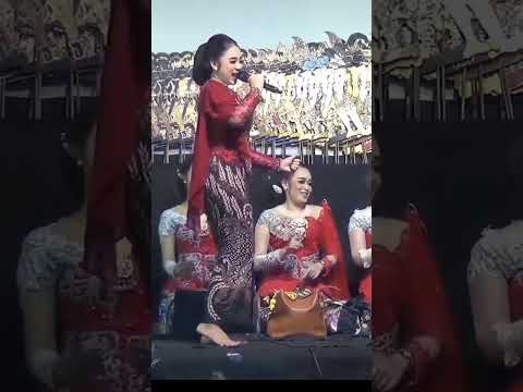 New Chinese Song Comedy Song Music Song