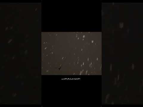 خلاص انتي ملكتيني الامان قربك حتى وان كان العالم حرب حالات واتس اب حب غزل ستوريات انستا