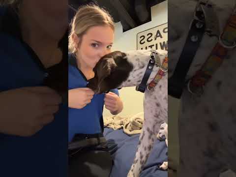 Best Videos Of The Year You Must Watch ShortVideo Trending