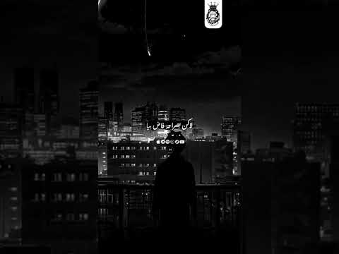 بقيت بستغرب اللي انا في Mo243