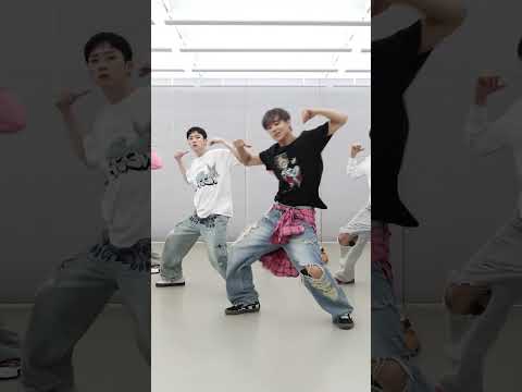 MIRRORED P1Harmony Pretty Boy 피원하모니 Chorus Challenge