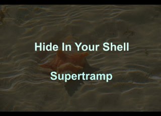 Hide In Your Shell Supertramp With Lyrics