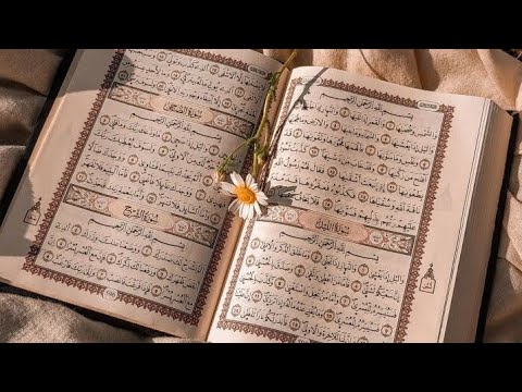 ذكر وموعظة ونور ماهر زين بدون موسيقى ذكر وموعظة ونور ماهر زين بدون موسيقى