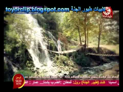 عالنور عمر الصعيدي طيور الجنة