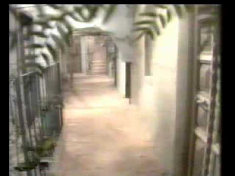 نهاية وادي المسك