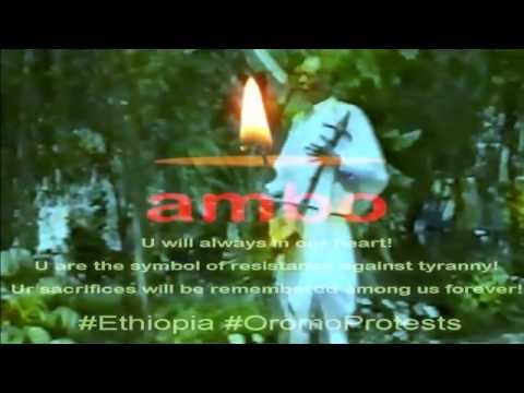 Ambo Garaa Galgalaa Tadasa Taresa Old Oromo Music Ambo