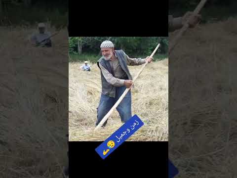 مالكم اعباد الله