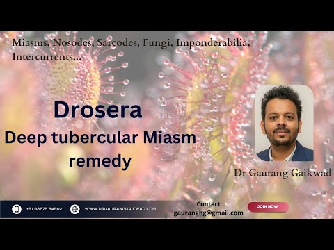 Drosera A Deep Tuberculinum Miasmatic Remedy Dr Gaurang Gaikwad Drosera A Deep Tuberculinum Miasmatic Remedy Dr Gaurang Gaikwad