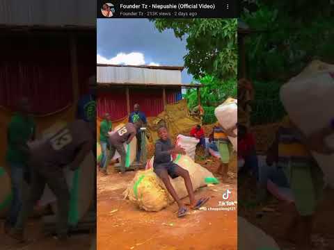 Founder Tz Niepushie Behind The Scenes Alobovibestv Alobovibestv