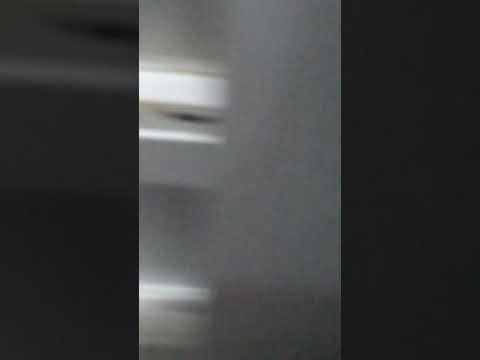 Filmando Minha Vizinha