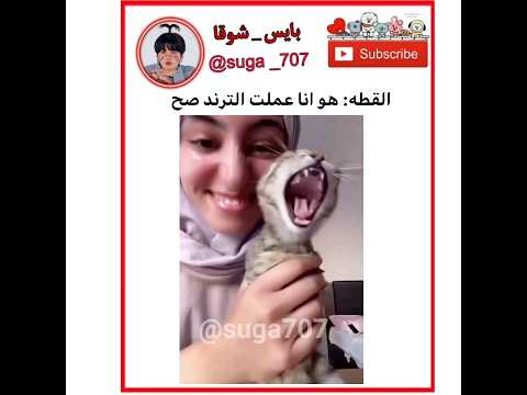 القطه هو انا عملت الترند صح AKV Suga707