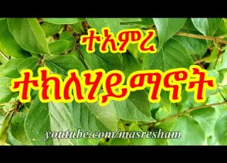 ተአምረ ተክለሃይማኖት Teamire Teklehaimanot