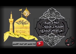  اسئلة و اجوبة تخمينية عن الإمام الرضا ع