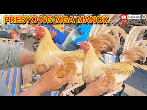 EP 56 March 30 2026 Dinarayo NGAYON Ng Mga Quality At MAHUSAY PUMILI