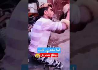  لما تشتري كلب ويطلع متحر ش هههههههه العربي كركور كوميديا مضحكة كوميديا كوميدي كوميدية