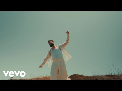 Calum Scott Roots Lyric Video