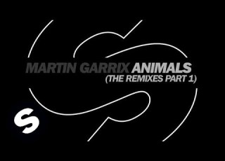  Martin Garrix Animals Oliver Heldens Remix