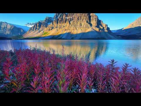 اروع تلاوة من سورة النمل SURAH Al Naml للشيخ عبد الباسط عبد الصمد
