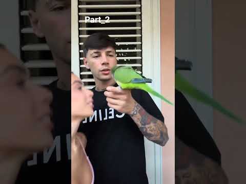 Https Vt Tiktok Com ZSuEorNhC