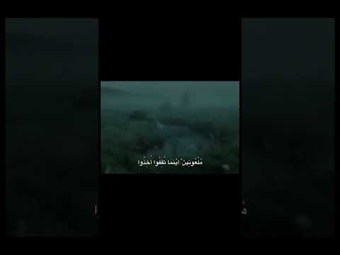 م ل ع ون ين أ ي ن م ا ث ق ف وا أ خ ذ وا و ق ت ل وا ت ق ت يل ا محمد صديق المنشاوي سورة الأحزاب م ل ع ون ين أ ي ن م ا ث ق ف وا أ خ ذ وا و ق ت ل وا ت ق ت يل ا محمد صديق المنشاوي سورة الأحزاب