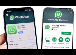 WhatsApp Vs WhatsApp Business Comparison Review