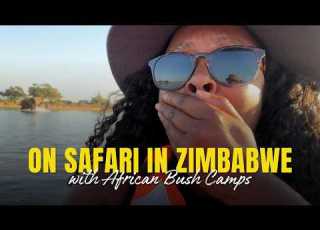 On Safari In Zimbabwe With Beks Ndlovu S African Bush Camps My Favorite Safari Ever