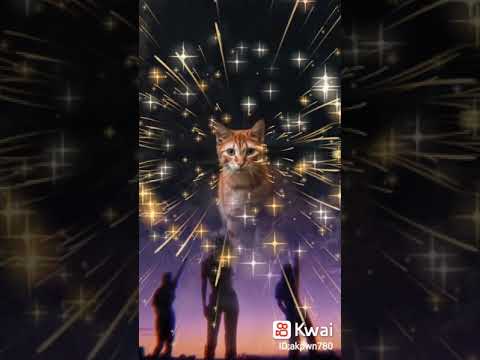 كل صورة تحكي حكيات