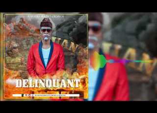 DELINQUANT By SUNGURA BISCUIT CREMICA Official Audio Track