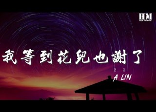 A Lin 我等到花兒也謝了 Live 我等到花兒也謝了 動態歌詞Lyrics