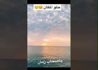  تامر حسني حلو المكان