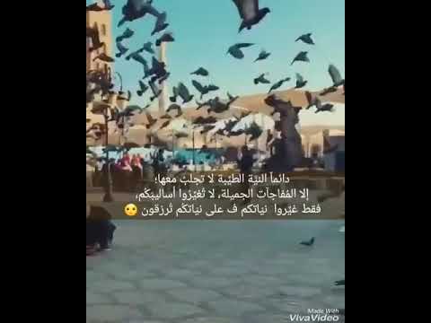 نغمة رنين اغنية نور الزين حبك يدك بالراس