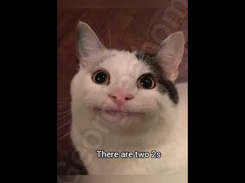 2 2 Catfunny Catmemes Fyp Georgieebom