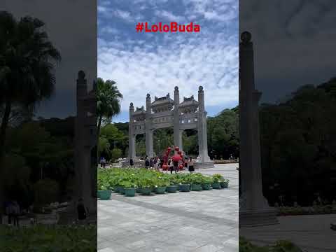 Short Tian Tan Budda Trindeng 2025