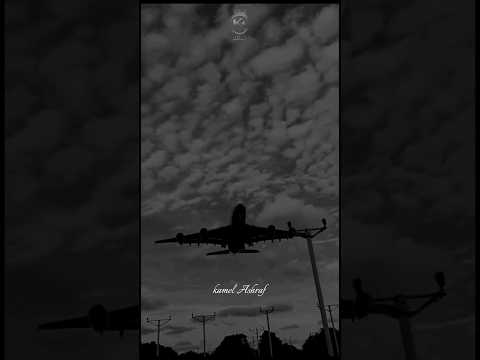 صداع بياكل في راسي