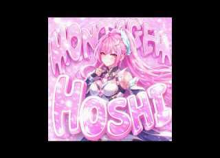  MONTAGEM HOSHI