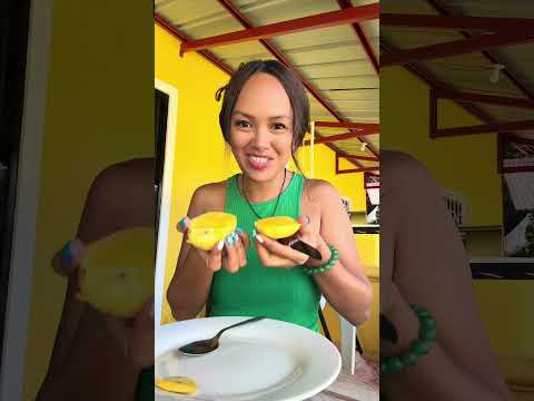 Frisch Geerntete Mangos Philippinen Mango