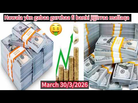 March 30 3 2026 Olmaa Shaarafa Mallaqa Guyya Hardhaa