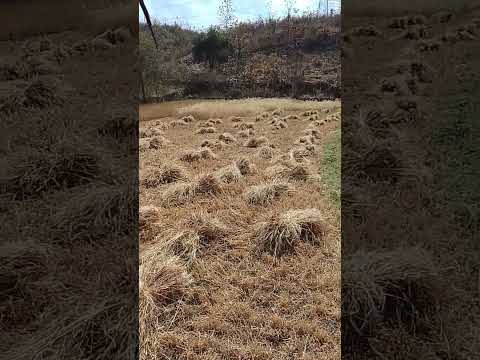 24 Pa Mwedzi Gwa Wudatu 2026