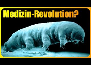 NEUE Spezies Entdeckt Sie Könnte Die Medizin REVOLUTIONIEREN
