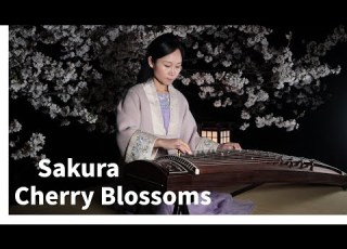  Sakura Sakura Japanese Folk Song 古筝 樱花 箏 さくら さくら