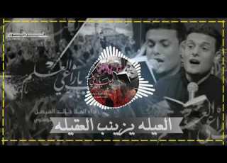  الرادود خالد فيصل كلمات سيد باسم الوسوي استوري حسيني زينب يا راعي العلم كرنتول