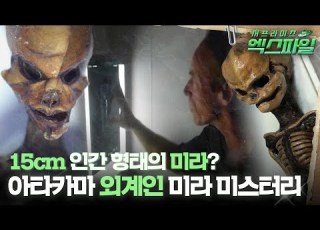 서프라이즈 엑스파일 15cm 인간 형태의 미라 아타카마 외계인 미라 미스터리 서프라이즈 MBC130804방송