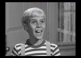  Dennis The Menace S02E38 Dennis And The Picnic