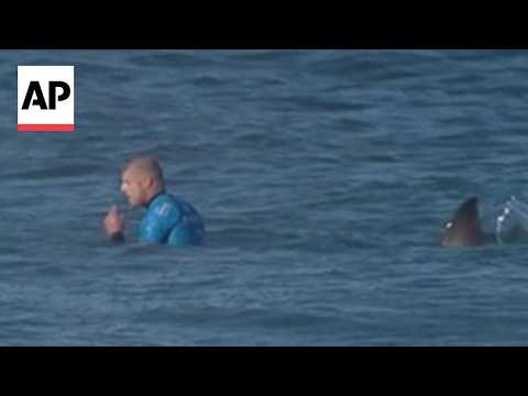 Surfer Fights Off Shark During Competition I Was Swinging And Screaming
