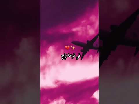 في سوق نسا رد بالك الحاج Cheb Salim Louza Rai2024 Tiktok Viral Fypシ ترند مشاهير تيك توك