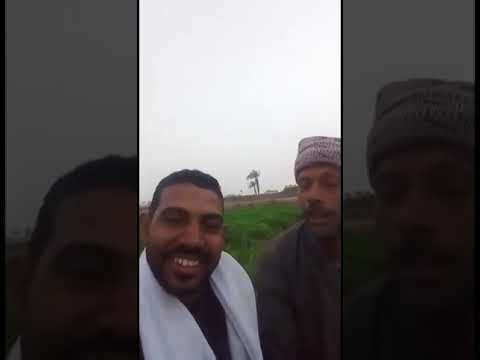 أضحك مع الصعايدة احنا مليون يموت 50 ويسيب 50