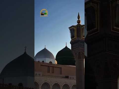 أ أبكاك شوقك يوما إليه