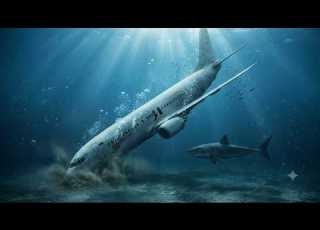  Plane Crashes Into The Ocean And The Passengers Are Trapped Underwater With Predatory Sharks N